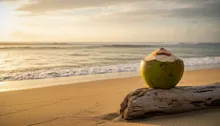 Jaco's Secret Sauce: Unlocking Wellness & Nutrition in Costa Rica's Chillest Beach Town