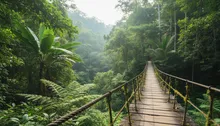 Jaco Family Fun Parks & More: Your Kids (and You) Will Actually Love These Adventures