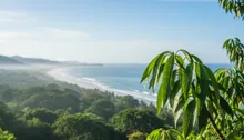 Jaco's Wild Side: Unlocking Rainforest to Reef Adventures (Beyond the Beach Towel)