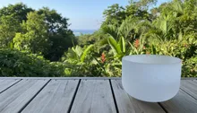 Beyond the "Om": Unearthing Authentic Holistic Healing in Jaco, Costa Rica