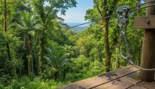Jaco Jungle Zip Lines: Soaring Through the Rainforest Canopy Like a Boss