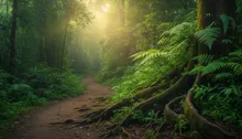 Jaco's Secret Footpaths: Where Rainforest Meets the Ocean (and Your Hiking Boots)