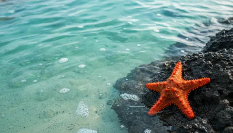 Beyond the Boogie Board: Jaco's Best Educational Adventures for Savvy Kids