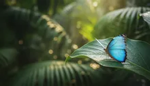 Family Nature Walks in Jaco: Where the Jungle Meets Kid-Friendly Adventure