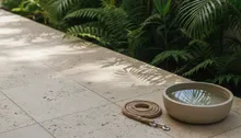 Bringing Your Best Friend to the Beach: The Definitive Guide to Pet-Friendly Jaco
