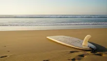 Jaco Scenic Adventure Rides: Your Complete Guide to Surfing Costa Rica's Premier Beach Break