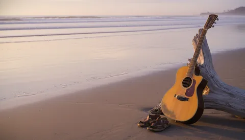 Jaco Beach Parties: Your Insider's Guide to Dancing in the Sand (Responsibly, Of Course)
