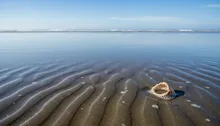 Jaco Water Safety: Your Insider's Guide to Playing it Safe (and Smart) in the Pacific