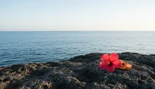 Local Folklore and Myths in Jaco: Tales from Costa Rica's Pacific Coast